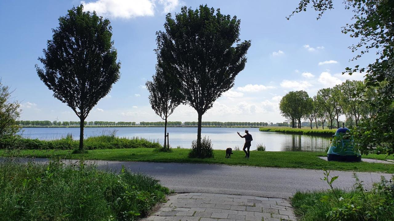 Luxe Vakantiebungalow Met Omheinde Tuin Voor Hond En Kinderen Dirkshorn Zewnętrze zdjęcie