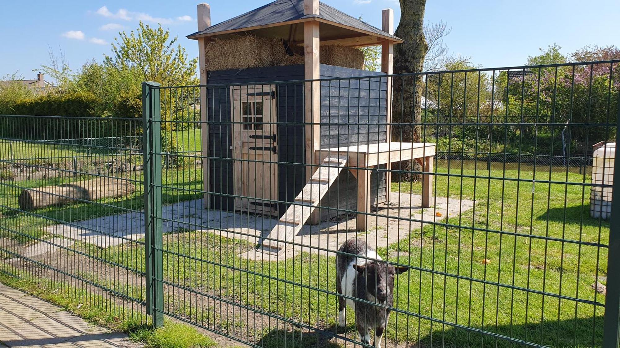 Luxe Vakantiebungalow Met Omheinde Tuin Voor Hond En Kinderen Dirkshorn Zewnętrze zdjęcie