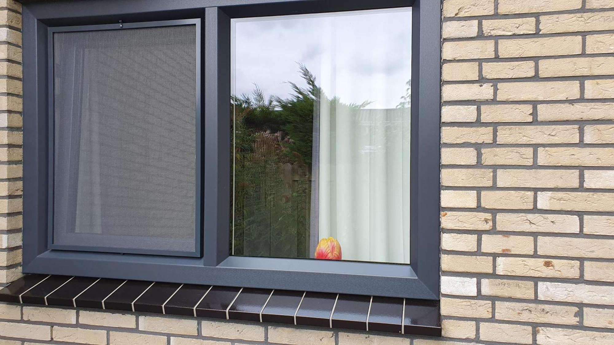 Luxe Vakantiebungalow Met Omheinde Tuin Voor Hond En Kinderen Dirkshorn Zewnętrze zdjęcie